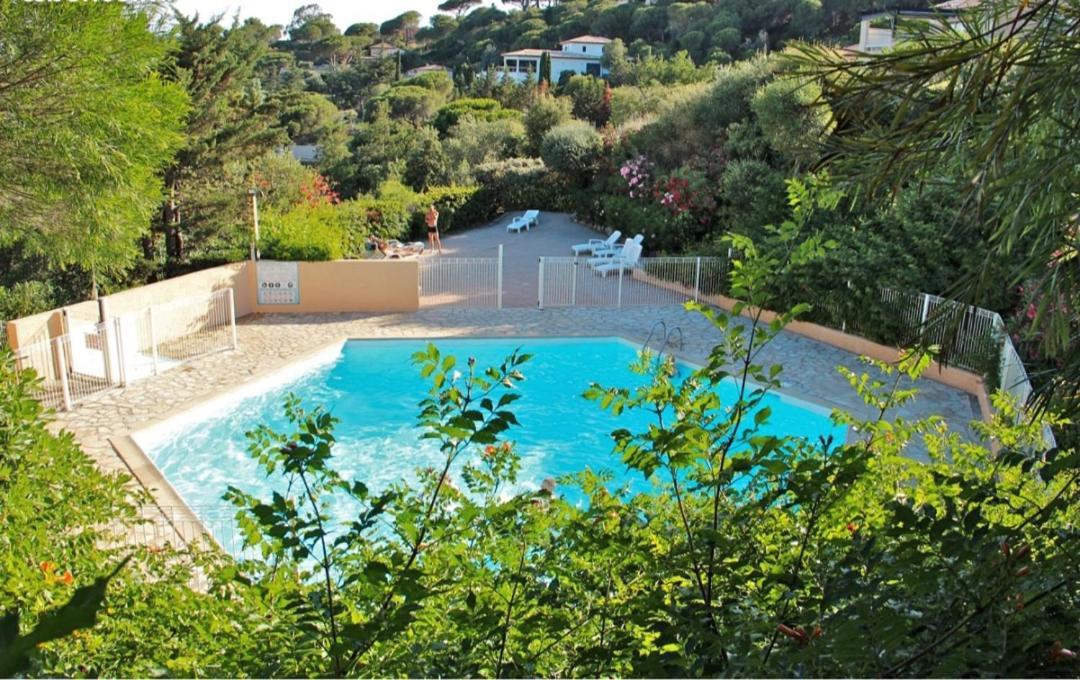 Apartamento Studio Bord de Mer Terrasse Vue Mer Piscine Sainte-Maxime Exterior foto